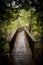 Boardwalk through Rockwood Conservation Area