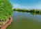 The boardwalk sightseeing mangrove forest