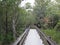 Boardwalk at swamp preserve
