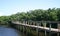 Boardwalk thru the Mangroves