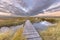 Boardwalk in Tidal Marshland nature reserve Saeftinghe