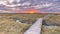 Boardwalk in Tidal Marshland nature reserve Saeftinghe