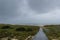 Boardwalk to The Beach During Hurricane Hermine off Virginia Beach Virginia