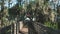 The boardwalk to the beach of Lake Louisa State Park in Clermont, Florida