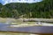 Boardwalk to explore Black Warrior Lake hydrothermal area, Yellowstone National Park, USA