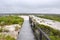 Boardwalk to White Cliff Point