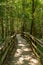 Boardwalk Trail Through Congaree Forest