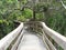 Boardwalk Trail in Florida Maritime Woods