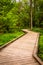 Boardwalk trail through the forest at Wildwood Park