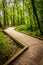 Boardwalk trail through the forest at Wildwood Park