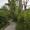 Boardwalk trail at North Chagrin Reservation, Ohio