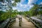 Boardwalk trail on Olmsted Island at Great Falls, Chesapeake & O