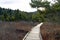 Boardwalk Trail in West Virginia