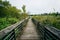 Boardwalk trail in a wetland, at Rivergate City Park, in Alexandria, Virginia.