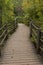 Boardwalk Trail In Woods