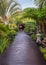 Boardwalk in tropical park