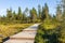 Boardwalk in Urho Kekkonen National Park in Finland. It is one o