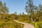 Boardwalk in Urho Kekkonen National Park in Finland. It is one o