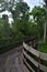 Boardwalk Walking Through the New Orleans Bayou