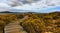 Boardwalk - West Coast National Park