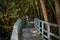 Boardwalk in the wetlands