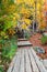 Boardwalk in the Woods on a Colorful Fall Day