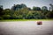 A boat in the amazon river jungle lagoon