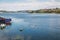 Boat and Black-necked swans at Gamboa River - Castro, Chiloe Island, Chile