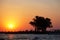 Boat on the Chobe River at sunset