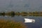 Boat in country lake