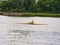 Boat coxed rowers rowing on the Seine river during Armada parade in France