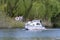 Boat Cruising on River Yare, Norfolk Broads, Surlingham, Norfolk, England, UK