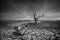 A boat and dead tree on the cracked land shot in black and white vintage photography and fine art photography manipulation