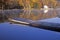 Boat Dock in Autumn, West Massachusetts