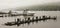 A Boat Dock on a Misty English Lake