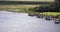 Boat Docks on the Banks of the RIver