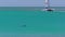 A boat and a dolphin on water in slow motion