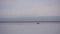 The boat drifts near the diving dolphin pack on the background of snow-capped mountains.