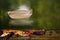 Boat empty from dry leaf float on water surface with reflection from green tree background.