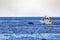 Boat following and sighting a whale near the Cape Saint Luke Arch in the Gulf of California that separates the Sea of Cortez.