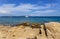 Boat on the horizon near Palau Olbia-Tempio, Sardinia, Italy