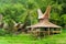 Boat House Tana Toraja Village Close