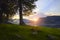 Boat on lake at background of sunset in a clear summer day. Warm summer evening on the dock near the boat. Fabulous views