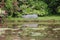 Boat By The Lake At Cothay Manor, Somerset, UK