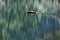 A boat on Lake Hallstatt in the Salzkammergut, Austria, Europe