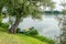 Boat on the lake under a tree