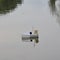 A boat made by a child floats on the river in the summer