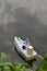 A boat made by a child floats on the water, near the green reeds