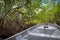 By boat through the mangrove forest. Cayo Arena, Punta Rucia, Do