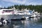 Boat marina on San Juan island